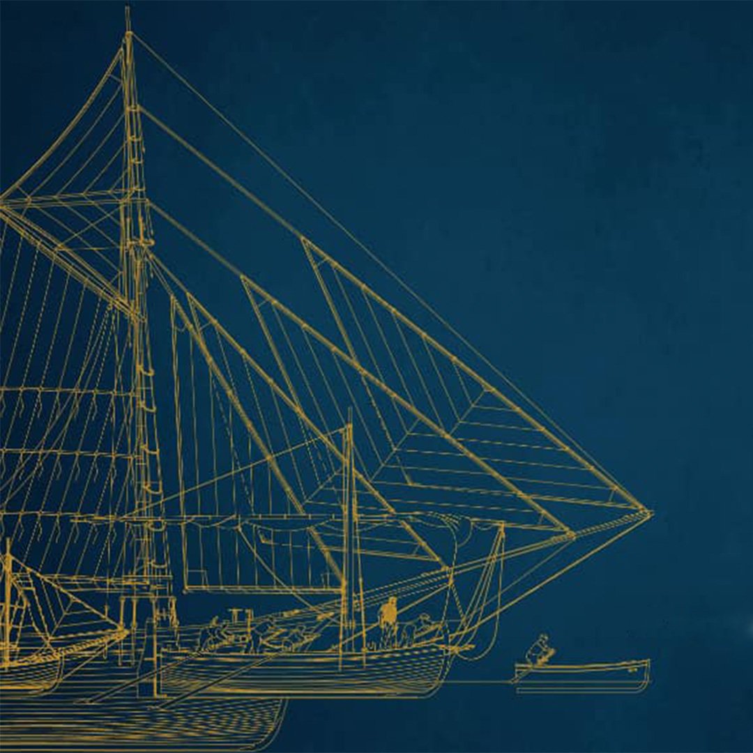 Stogodišnjaci iz našeg mula